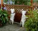 Oskar und Hazel hatten alles im Blick