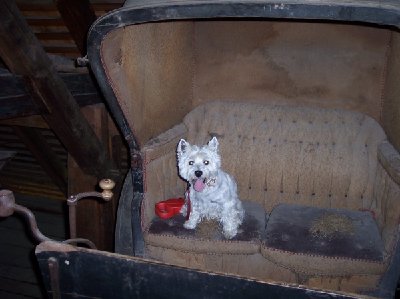 1638_1153253614_Schwarzwald 1[1].7.-14.7.2006 119.jpg