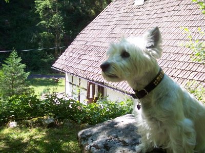 1638_1153253794_Schwarzwald 1[1].7.-14.7.2006 005.jpg