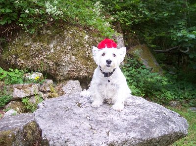 1638_1153254594_Schwarzwald 1[1].7.-14.7.2006 044.jpg