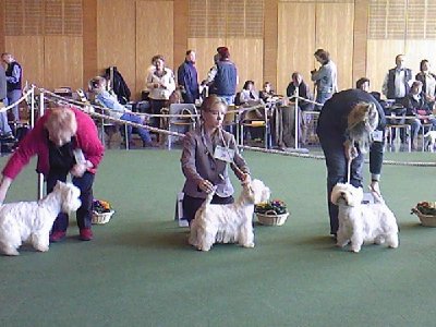 1763_1173036658_Foto-0009.jpg