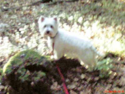 1766_1151180075_Kira-Wald1.jpg
