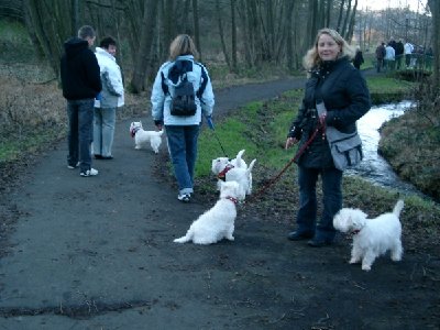 1916_1168890968_Westie Stammtisch 003.jpg