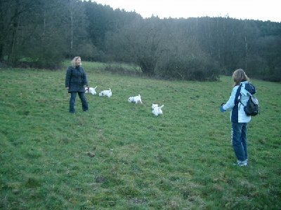 1916_1168893034_Westie Stammtisch 017.jpg