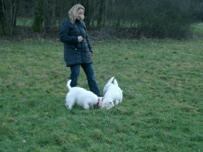 1916_1168893277_Westie Stammtisch 018.jpg