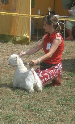 29.07. heppenheim 04 forum.jpg