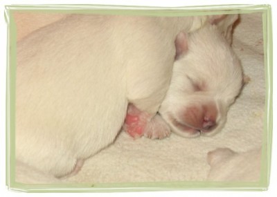 5_1254770308_5.Tag 7.jpg