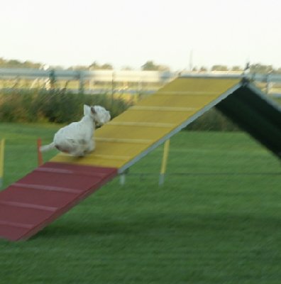 a 001kl2.jpg