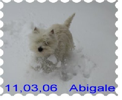 abi.JPG