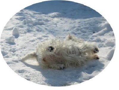 Abi bei der morgew�sche.JPG