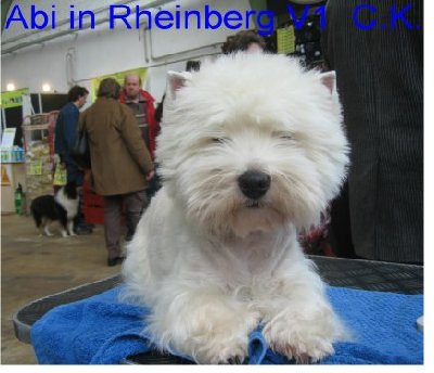 abi in Rheinberg 1.JPG