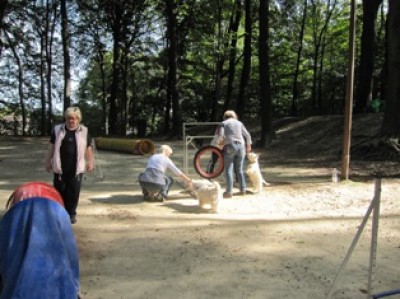 Agility 2.1.JPG