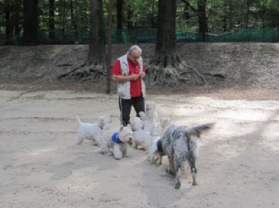 Bernd mit Hunden.JPG