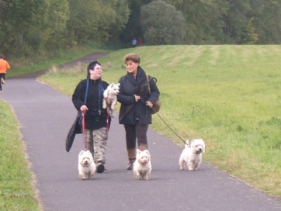 Bild7732678893 011.jpg