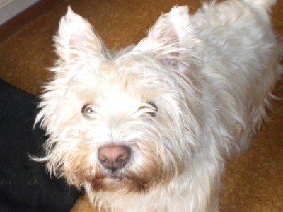 CIMG2327 - Kopie.JPG