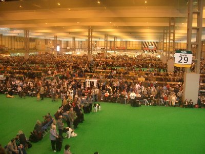 Crufts-2008-005.jpg