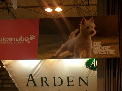 Crufts-2008-009.jpg