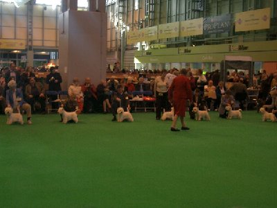 Crufts-2008-018.jpg
