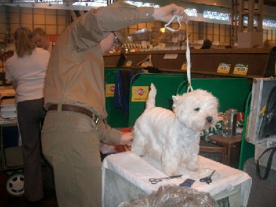 Crufts-2008-039.jpg