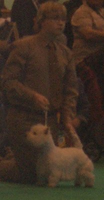 Crufts-2008-042.jpg