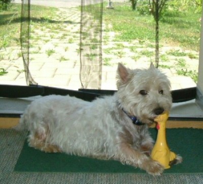 DSCF8338lucky ente (2).JPG