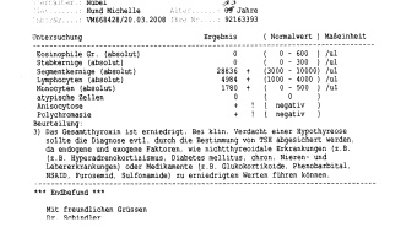 Ergebnis vom März 08 3.JPG
