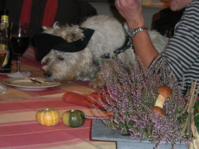ich will auch was.jpg