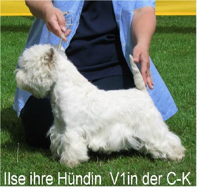 Ilse ihre Hündin.JPG