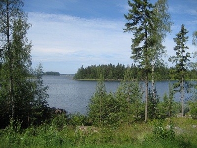 IMG_4147.JPG