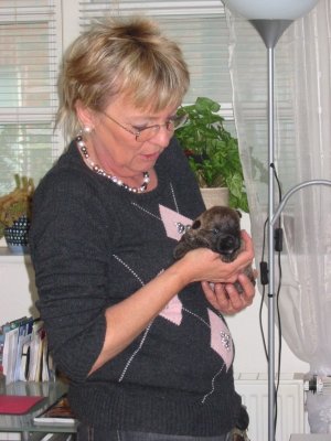 Internetbild Mama mit Bee.jpg