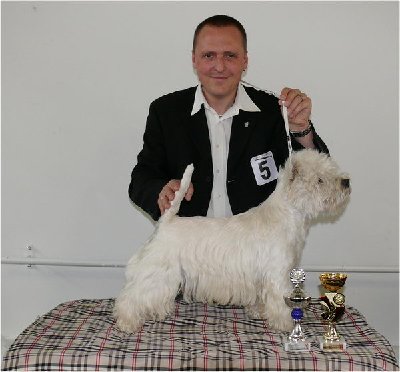 Kerry Stars Weiti Quintus Maximus.jpg