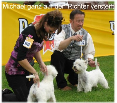 michael mit bloom1.JPG