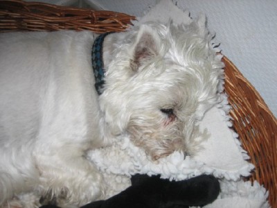 NickiIMG_2268.JPG