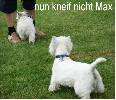 nun kneif nicht max 1.JPG