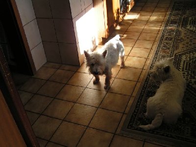 PICT0001.jpg