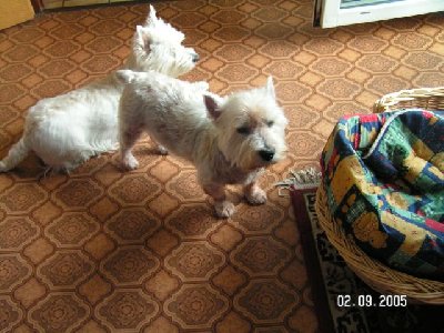 PICT0009.jpg