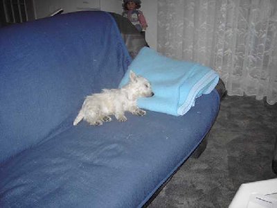 PICT0364_.jpg