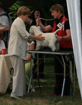 Sheila Richtertisch.jpg