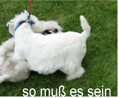 so muß es sein.JPG