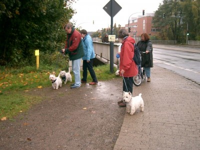 Spaziergang am Sonntag in den Park.jpg