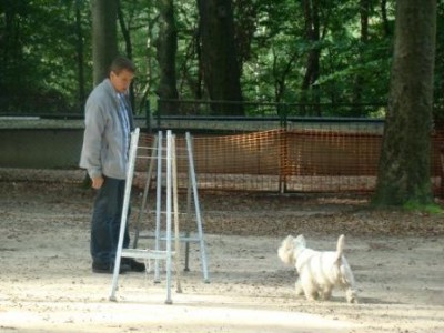 Spike- Herrchen so ist es gut!.jpg