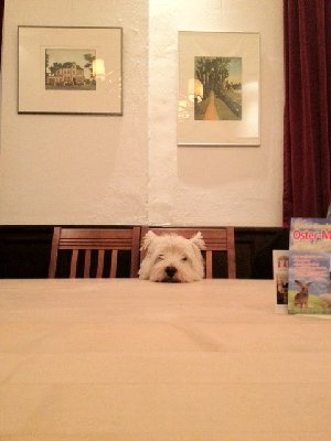 stammtisch feb 2.jpg