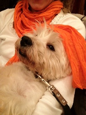 stammtisch feb 4.jpg