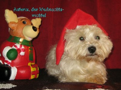 Weihnachtswichtel Asterix.jpg