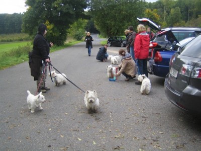 Westietreffen 13.jpg