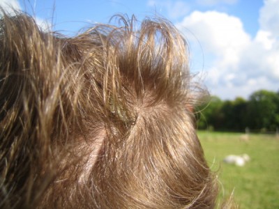 Westietreffen 14.jpg