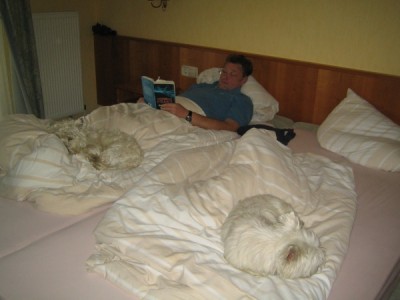 Westietreffen 16.jpg