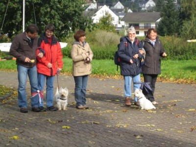 Westietreffen 17.jpg