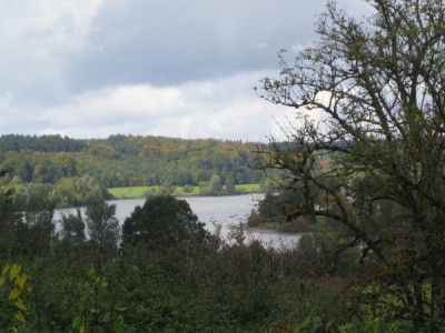 Westietreffen 18.jpg