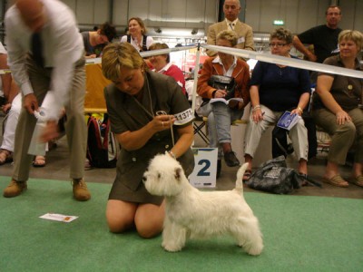 World-Dog-Show-025.jpg